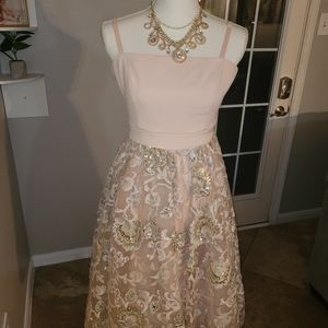 BEBE BLUSH DRESS!
